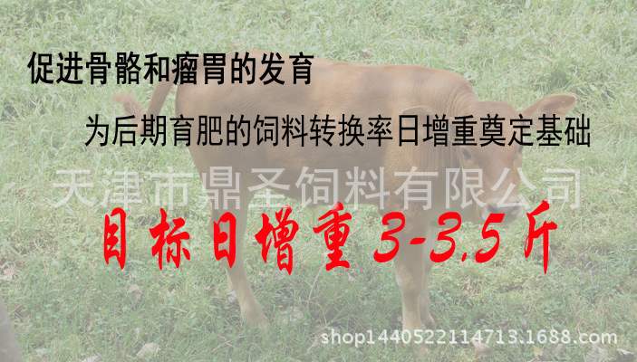 2、育肥牛每天需要多少飼料/肉牛每天吃多少飼料